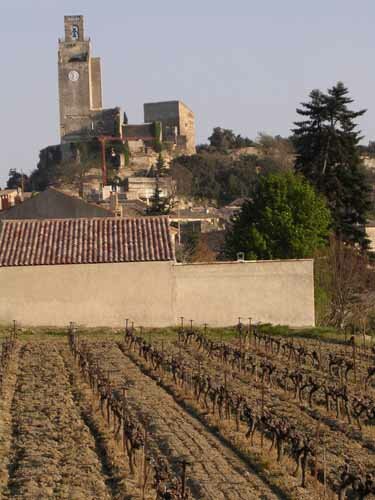 Chamaret view from vineyard