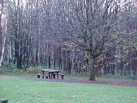 Picnic grounds.
