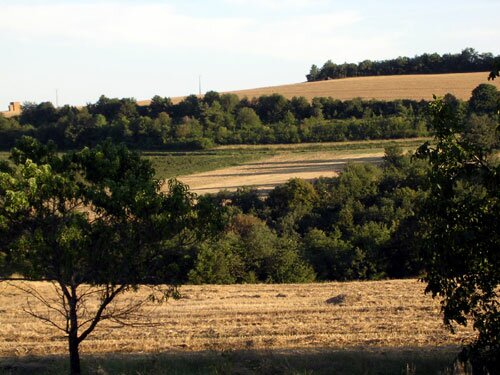 Hautes-Côtes of Burgundy fields