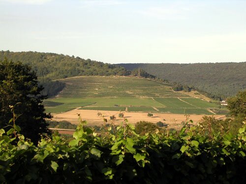 Hautes-Côtes Vineyards