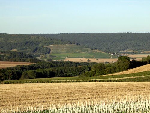 Hautes-Côtes Wheat Field