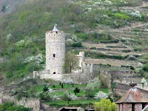 Kaysersberg Château tower