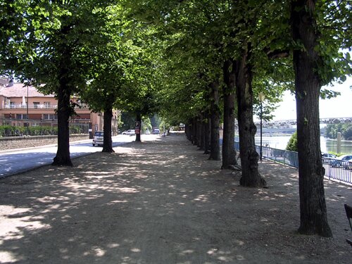 This is the Promenade in Trévoux France that runs along the Saône River.